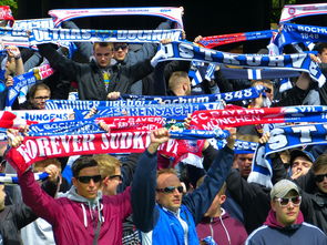 kaiyun.com-斯诺克史上最硬核的解球，没有之一，全场球迷看的目瞪口呆，斯诺克解球规则及玩法